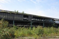 Bilder aus den Ruinen des alten Duisburger Güterbahnhofes in der Innenstadt 2012