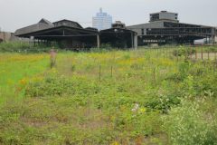 Bilder aus den Ruinen des alten Duisburger Güterbahnhofes in der Innenstadt 2012