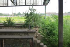 Bilder aus den Ruinen des alten Duisburger Güterbahnhofes in der Innenstadt 2012