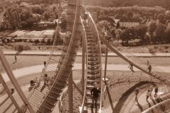 Tiger and Turtle Okt-2012