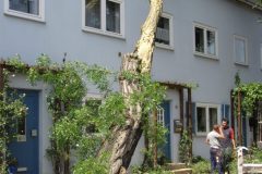 Orkanschäden in Duisburg