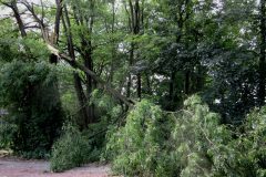 Orkanschäden in Duisburg